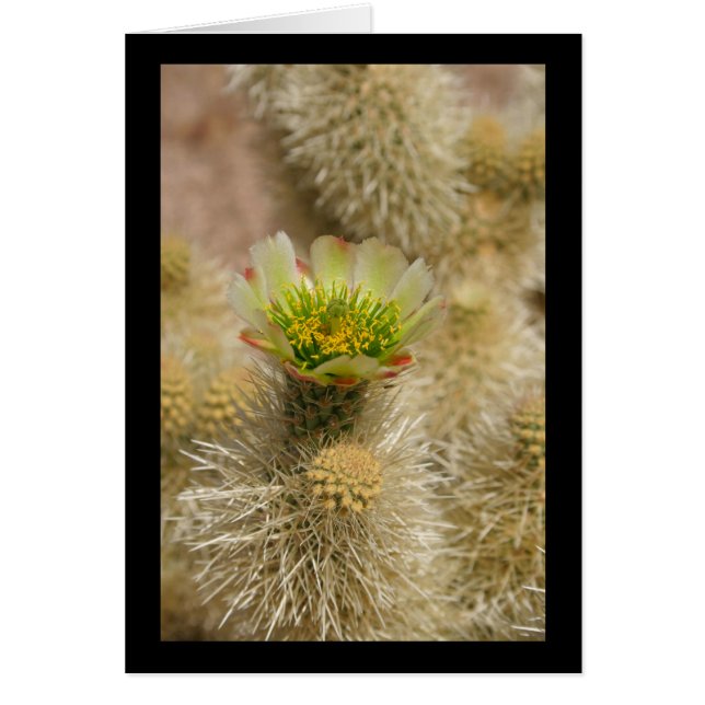 Cactus Bloom Hälsningskort (Framsidan)