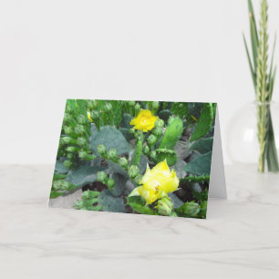 Cactus Blooms Fullt Bleed blank Kort