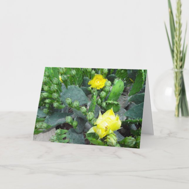 Cactus Blooms Fullt Bleed blank Kort (Framsida)