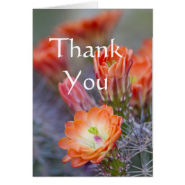 Cactus blooms i Orange Tack för ditt kort