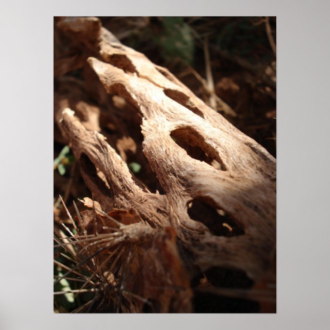 Cactus Bone Poster (Framsidan)