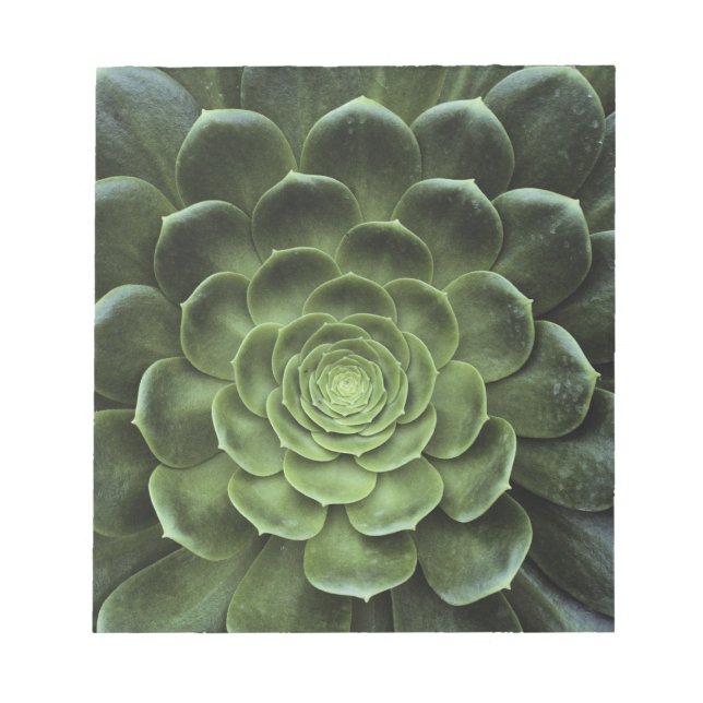 Cactus centrum anteckningsblock (Framsida)