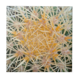 Cactus Ceramic Tile Kakelplatta
