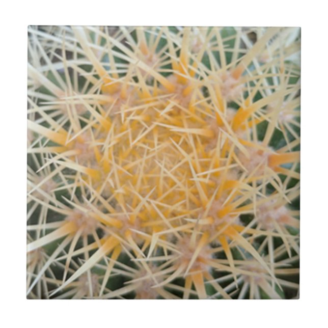 Cactus Ceramic Tile Kakelplatta (Framsidan)