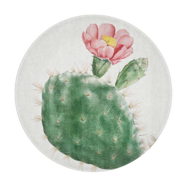 Cactus Cochenillifer, Antik Illustration, 1799  (Framsidan)