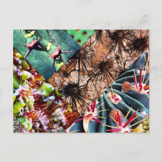 Cactus Collage Postcard Vykort (Framsida)
