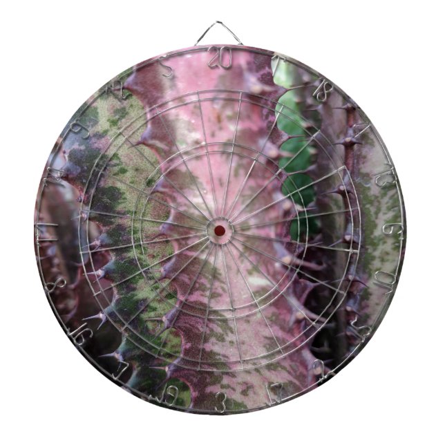Cactus Darttavla (Framsidan)