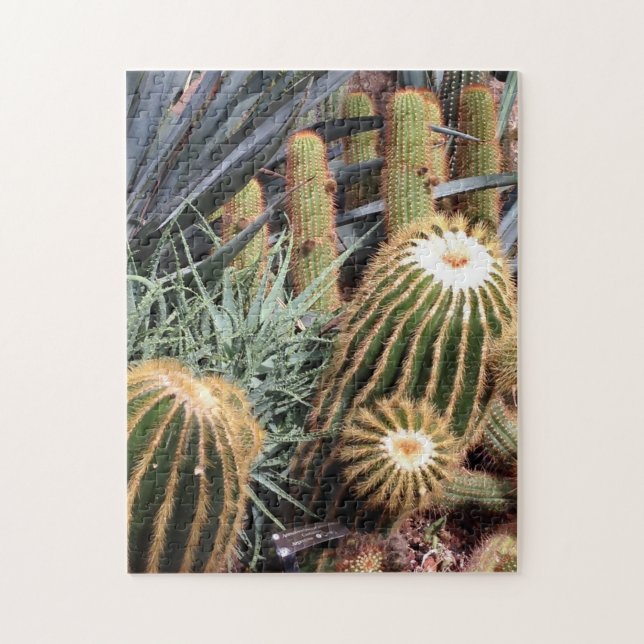 Cactus Desert Arid Garden Nature Puzzle Pussel (Vertikal)