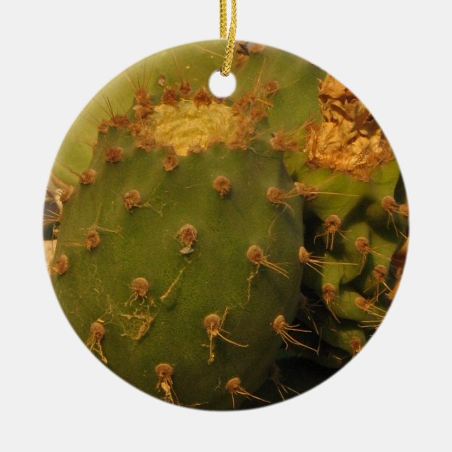 Cactus Detail Photography Circle Ornament (Framsidan)