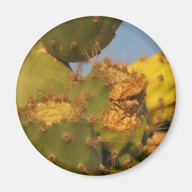 Cactus Detail Photography Round Magnet (Framsidan)
