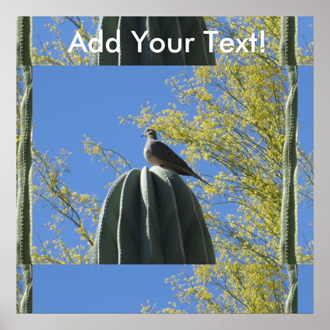 Cactus Dove Poster (Framsidan)