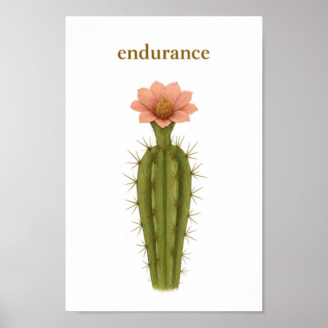 Cactus - Endurance Poster (Framsidan)