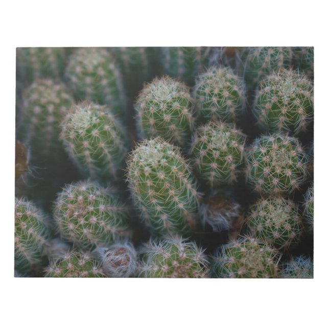 Cactus Family Anteckningsblock (Framsida)