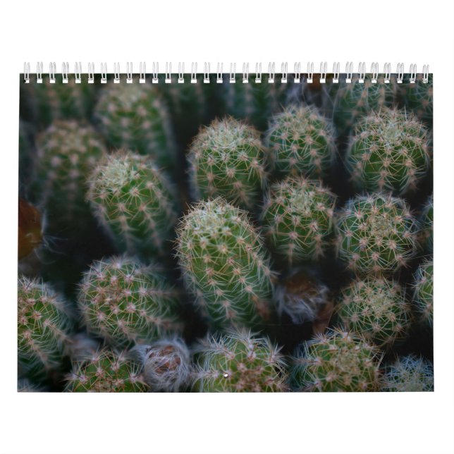 Cactus Family Kalender (Omslag)