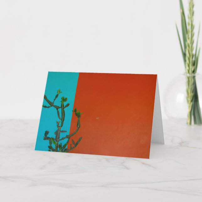 cactus färg kort (Framsida)