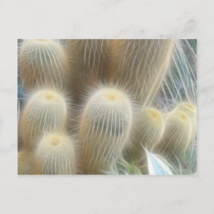 Cactus Färg Linjer Vykort