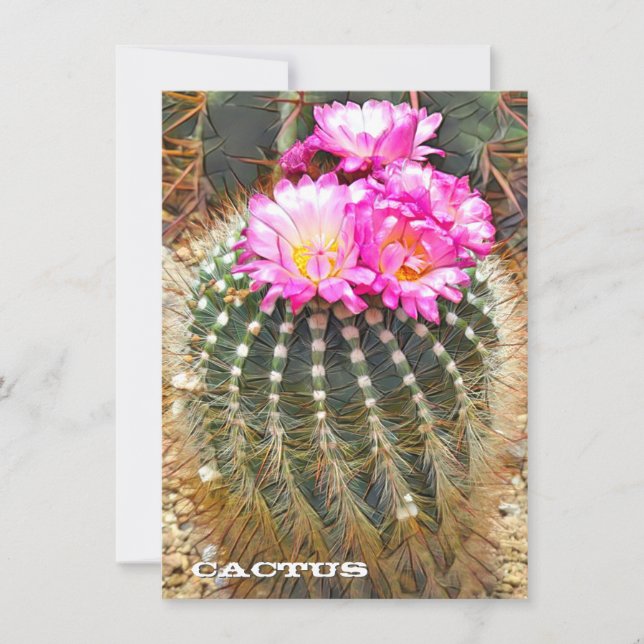 Cactus: Flat Card (Framsida)