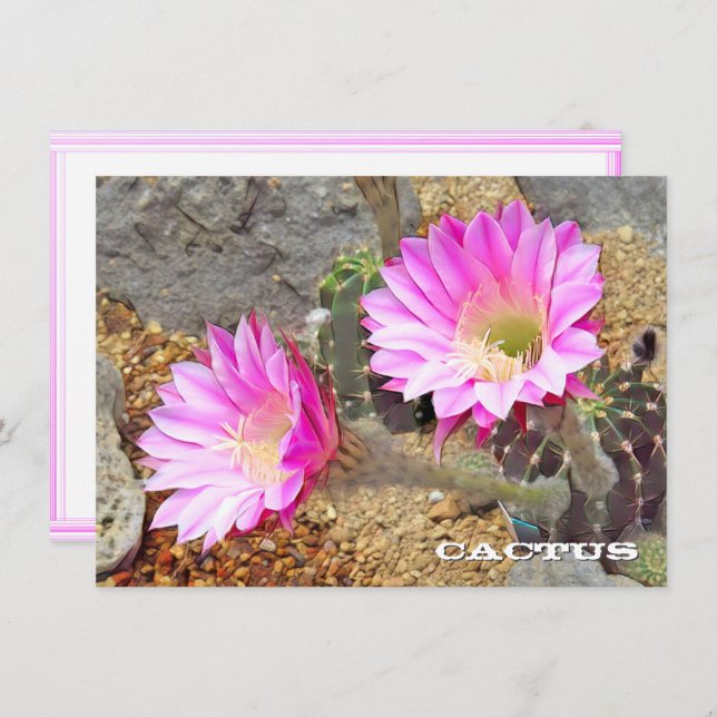 Cactus: Flat Card (Fram/baksida)