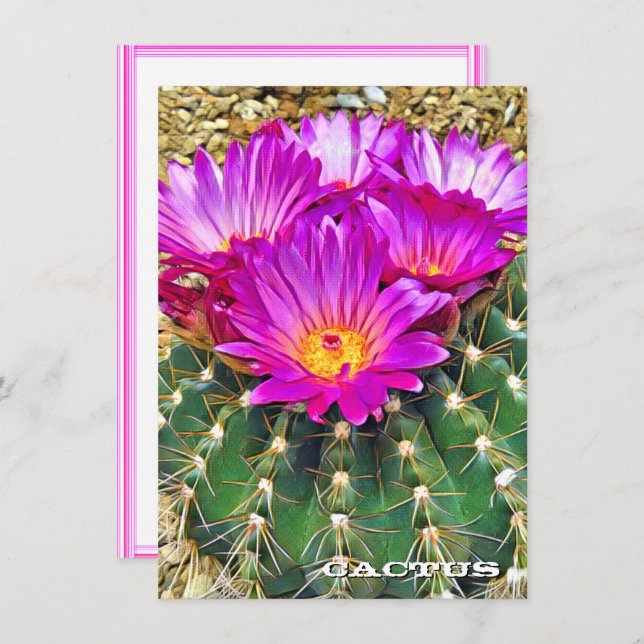 Cactus: Flat Card (Fram/baksida)