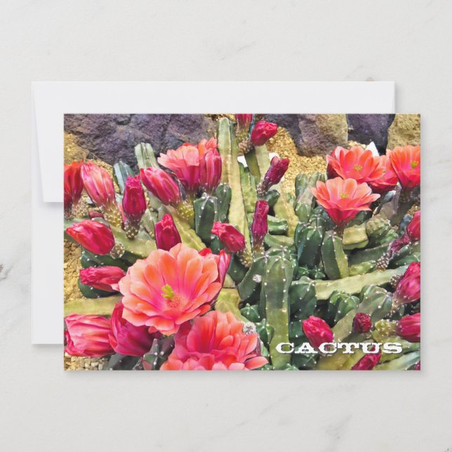 Cactus: Flat Card (Framsida)