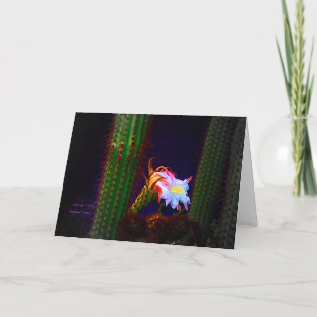 "Cactus Flower at Sunset #105" Fotografi Kort (Framsida)