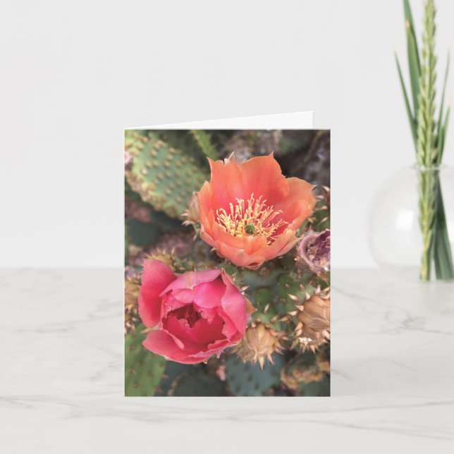 Cactus Flower Blommars Note Card Tack Kort (Framsida)