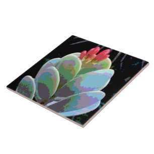 Cactus Flower Buds Kakelplatta