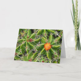 Cactus Flower Card - Anpassa Hälsning Kort