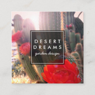 Cactus Flower Desert Garden Photo Travel Turism Fyrkantigt Visitkort