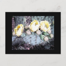 Cactus Flower Digital Bläck Vykort