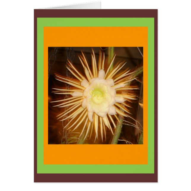 Cactus Flower Hälsningskort (Framsidan)