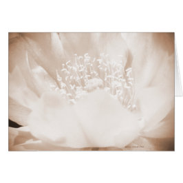 Cactus Flower Hälsningskort