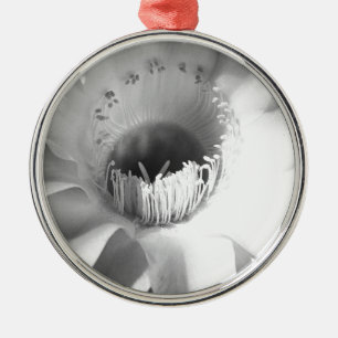 Cactus Flower in Black and White #succulent Julgransprydnad Metall