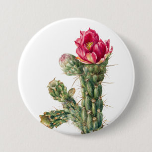 Cactus Flower Knapp