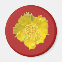 Cactus Flower Magnet