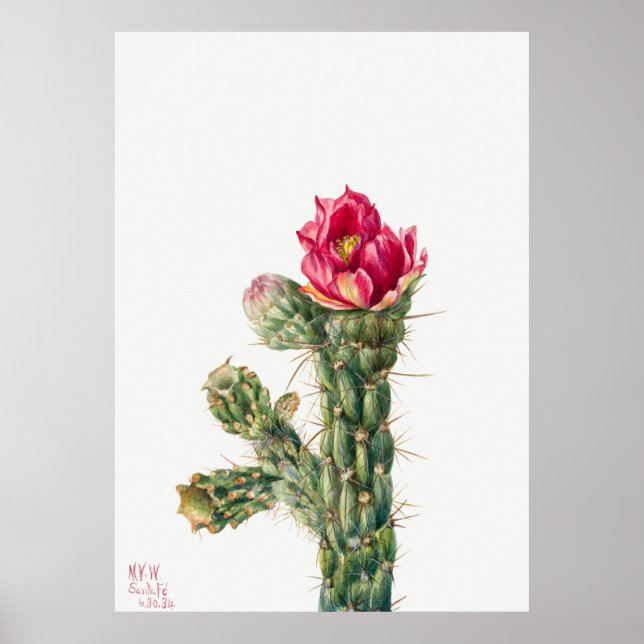 Cactus Flower Poster (Framsidan)