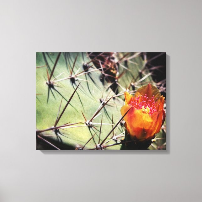 Cactus Flower Wrapped Canvas (Framsida)