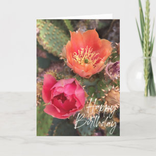 Cactus Flowers Blooming Grattis på födelsedagen Kort