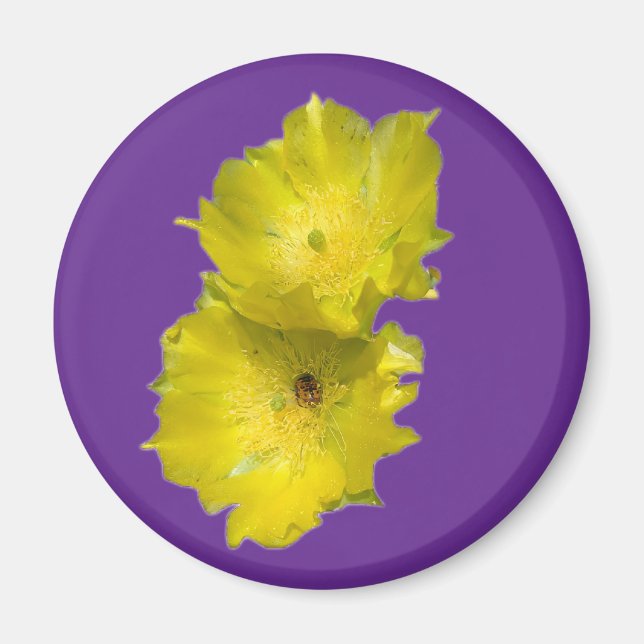Cactus Flowers Magnet (Framsidan)
