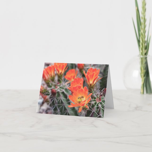 Cactus Flowers och Bee | Anteckningskort för solne (Framsida)