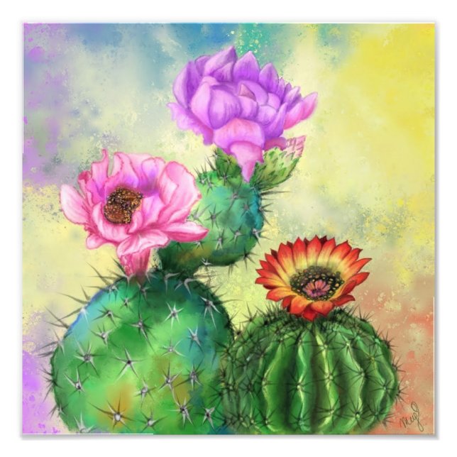 Cactus Flowers Poster (Framsidan)