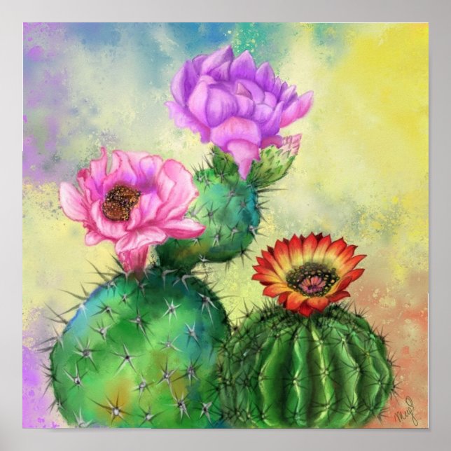 Cactus Flowers Poster Skriv ut (Framsidan)