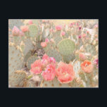 Cactus Flowers Rosa Blooms Sunset Vykort<br><div class="desc">Hej där! Hoppas du gillar det här fotot jag fångade på mina resor. Du kan gärna lägga till din egen text! Kolla min butik för mer.</div>