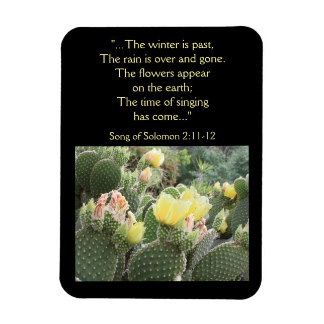 Cactus Flowers Sång i Solomon Magnet (Vertikal)