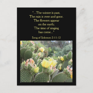 Cactus Flowers Sång i Solomon Postcard Vykort