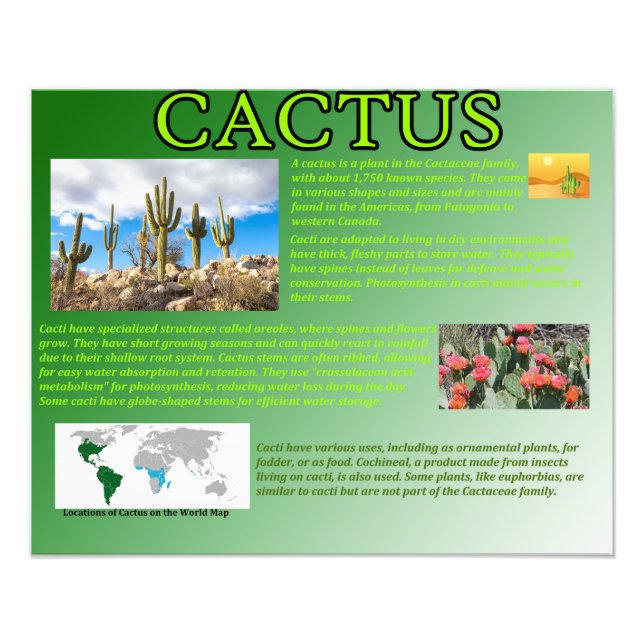 Cactus Fototryck (Framsidan)