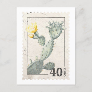 Cactus Frimärke vykort