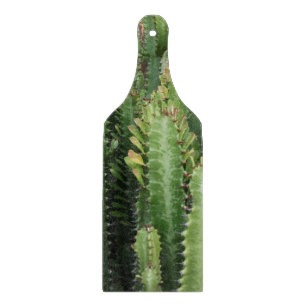 Cactus Garden