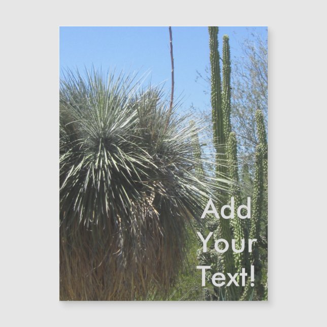 Cactus Garden (Framsida)