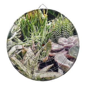 Cactus Garden Piltavla